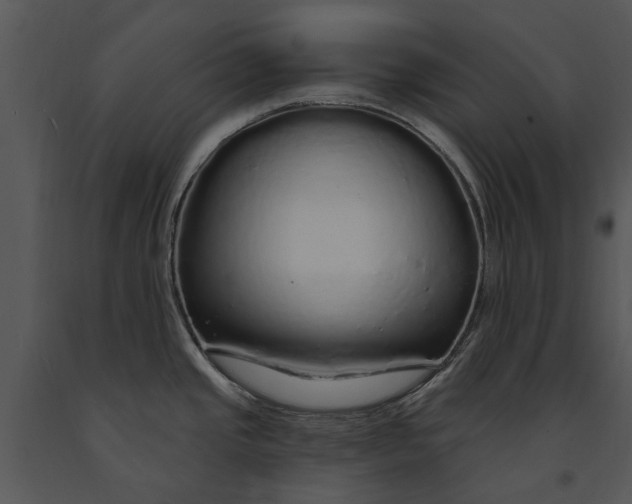 X0000091191437200708301228