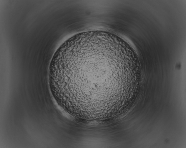 X0000091191439200708301228