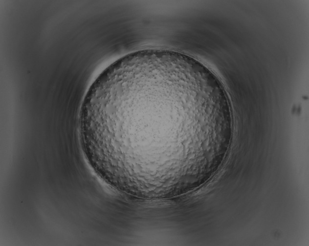 X0000091191440200708301228