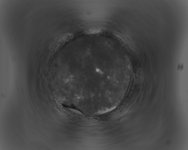 X0000091191441200708301227