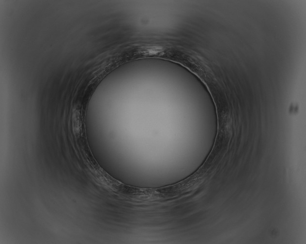 X0000091191442200708301227