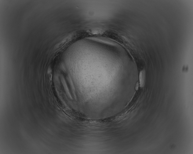 X0000091191443200708301227