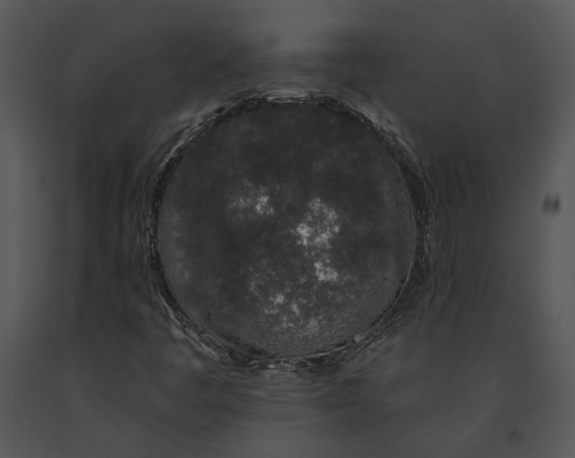 X0000091191445200708301227