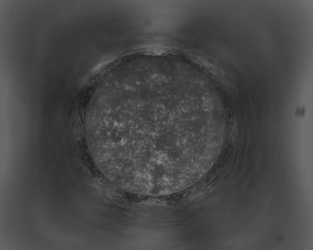 X0000091191446200708301227