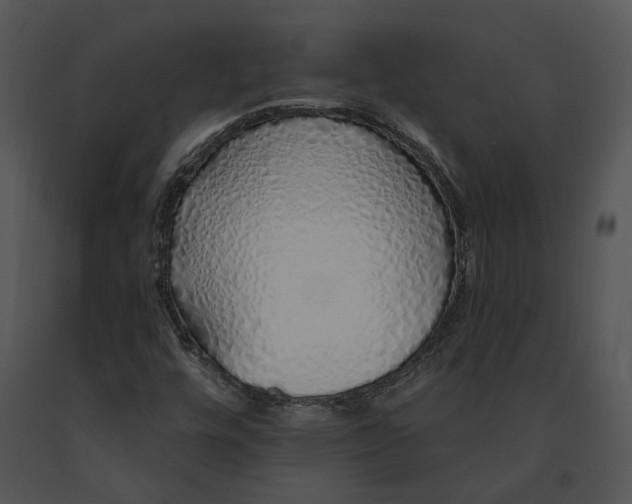 X0000091191448200708301227