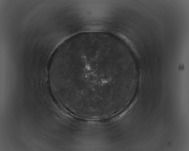 X0000091191449200708301227