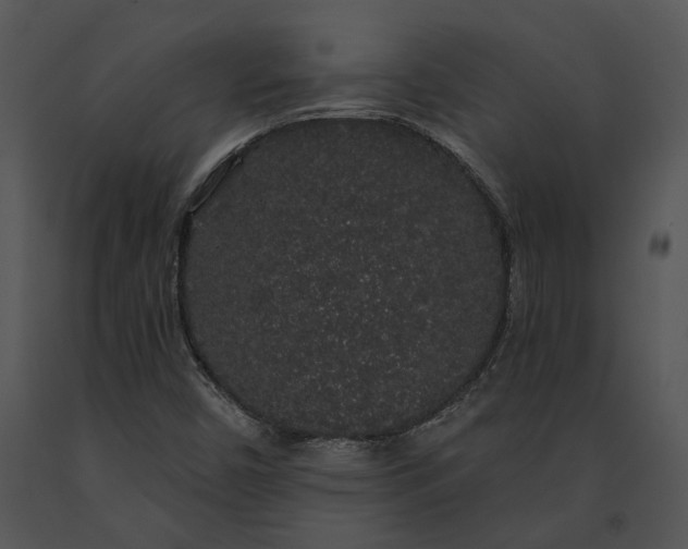 X0000091191450200708301227