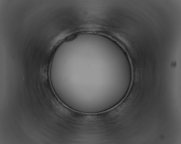 X0000091191451200708301227