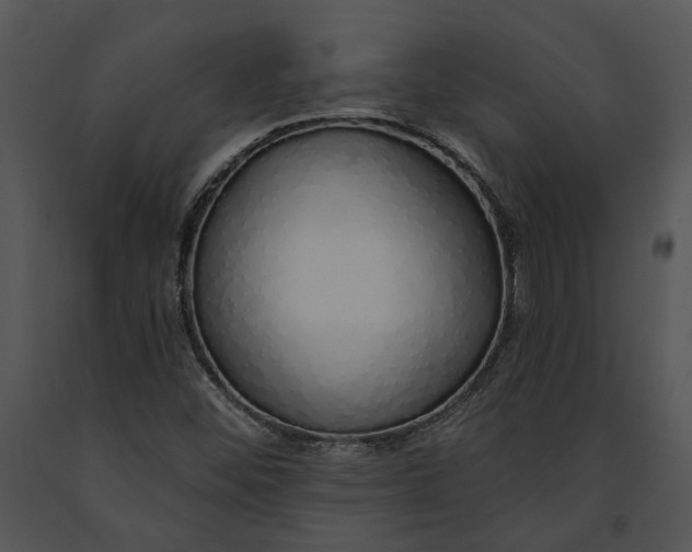 X0000091191452200708301227