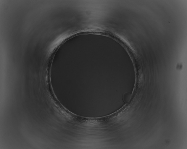 X0000091191455200708301227