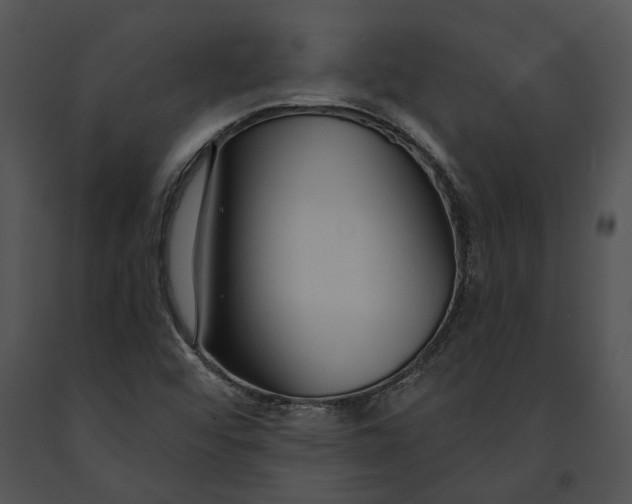 X0000091191456200708301227