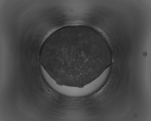 X0000091191457200708301227