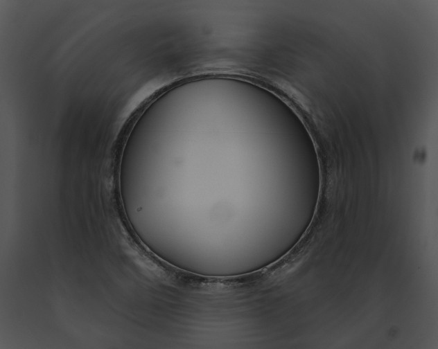 X0000091191458200708301227