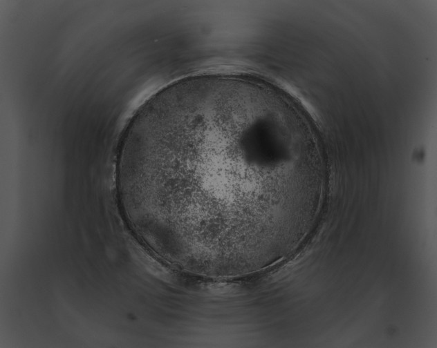 X0000091191459200708301227