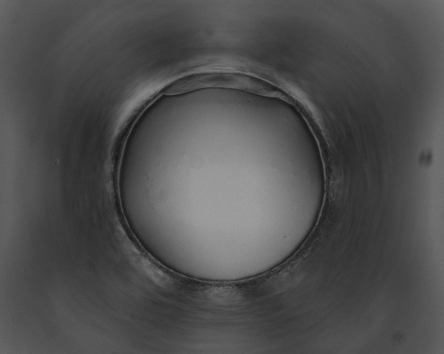 X0000091191464200708301227