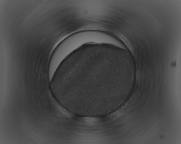 X0000091191465200708301227