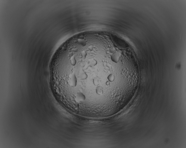 X0000091191467200708301227