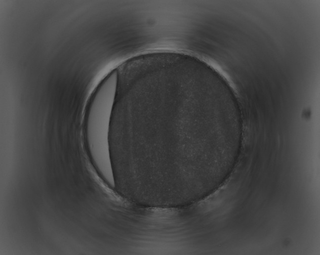 X0000091191469200708301227