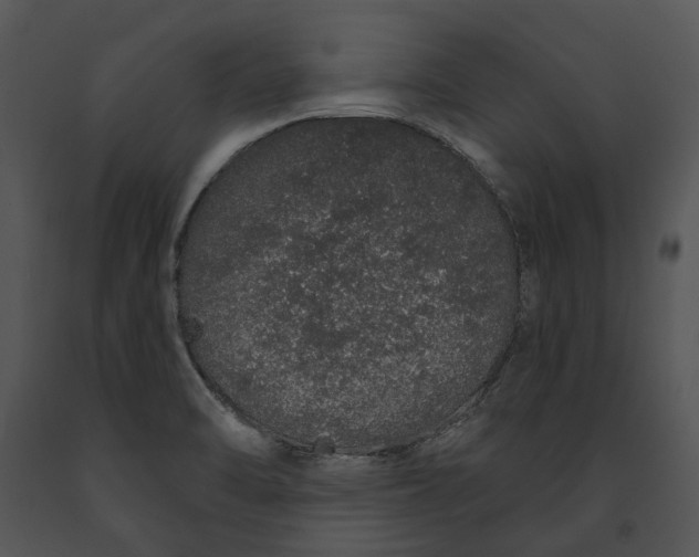 X0000091191470200708301227