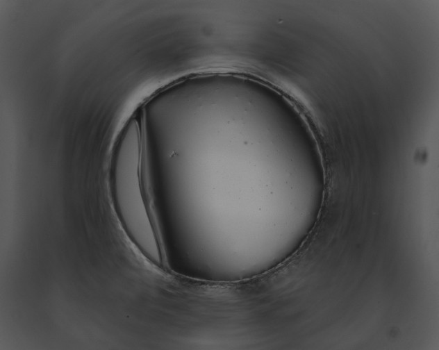 X0000091191472200708301227