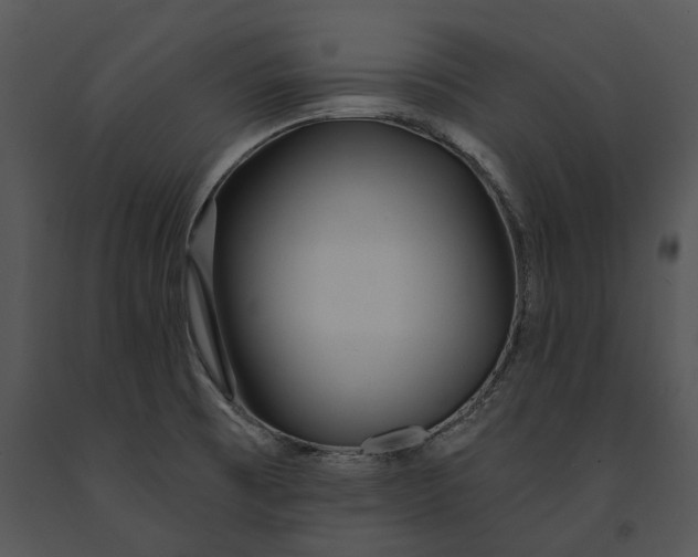 X0000091191473200708301227