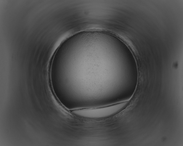 X0000091191475200708301227