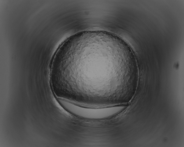 X0000091191476200708301227