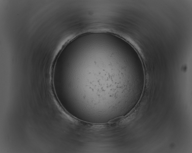 X0000091191477200708301227