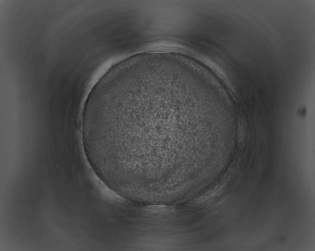 X0000091191478200708301227