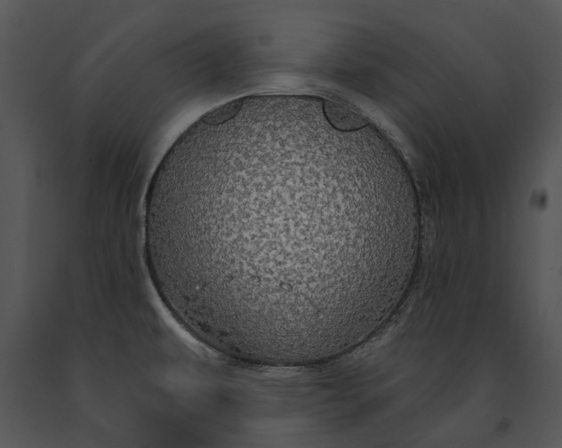 X0000091191479200708301227