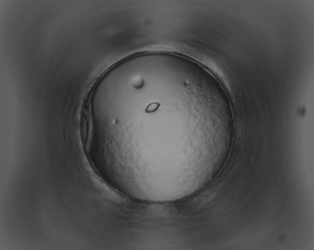 X0000091191480200708301227