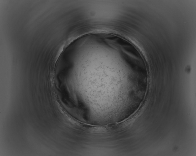 X0000091191481200708301227