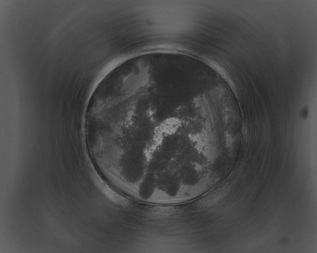 X0000091191482200708301227