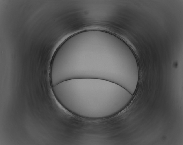 X0000091191484200708301227