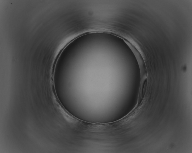 X0000091191485200708301227