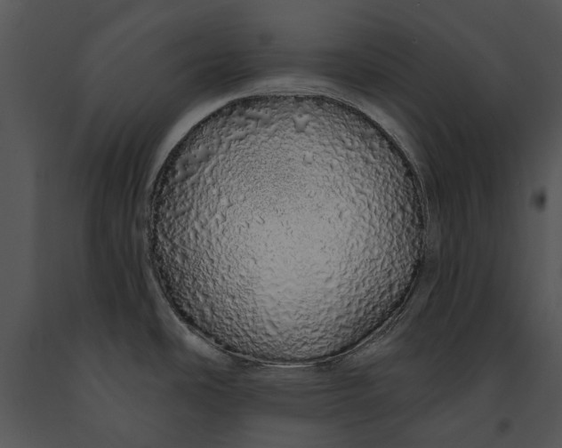 X0000091191486200708301227