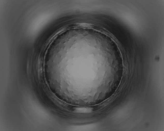 X0000091191487200708301227