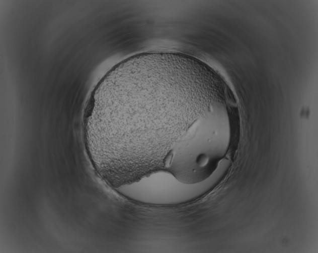 X0000091191488200708301227