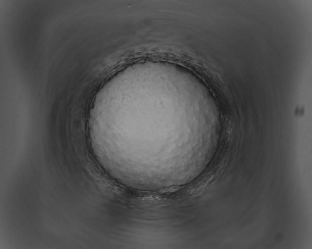 X0000091191489200708301226