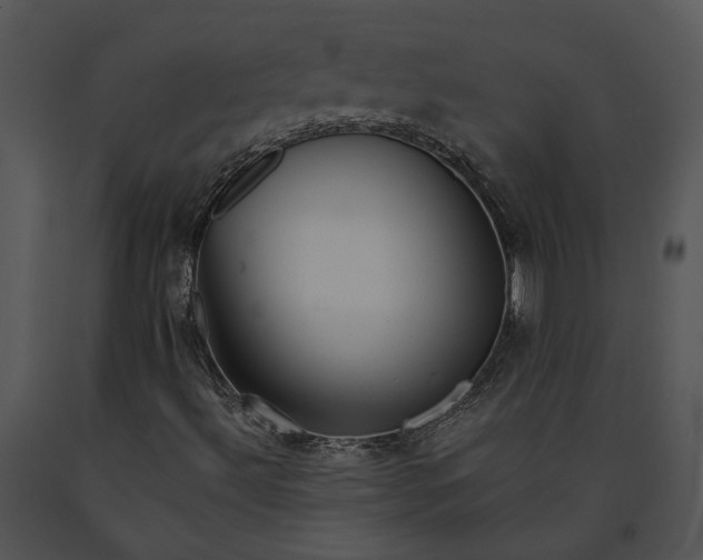 X0000091191492200708301226