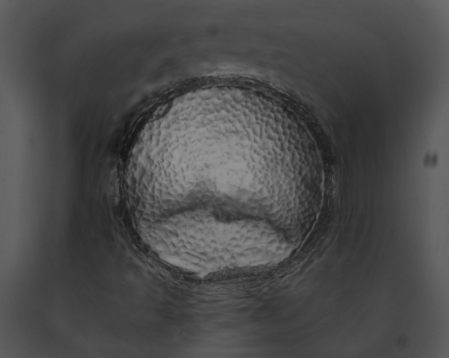 X0000091191493200708301226