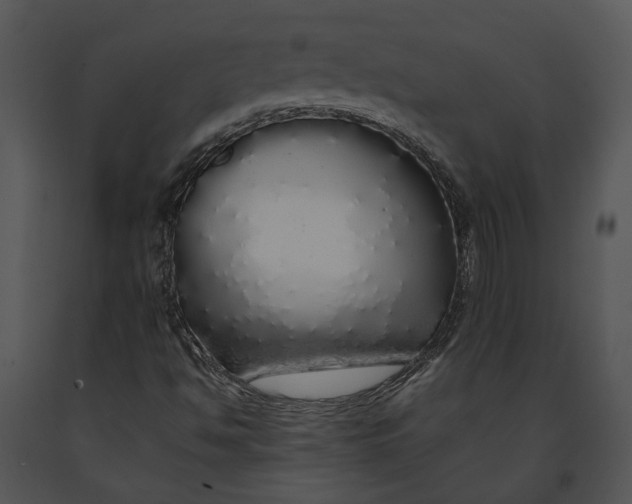 X0000091191494200708301226