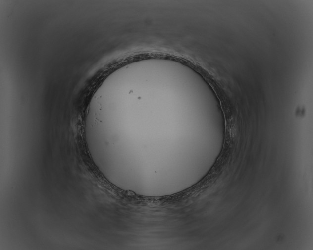 X0000091191495200708301226