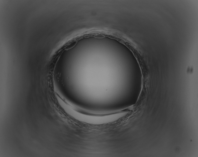 X0000091191496200708301226