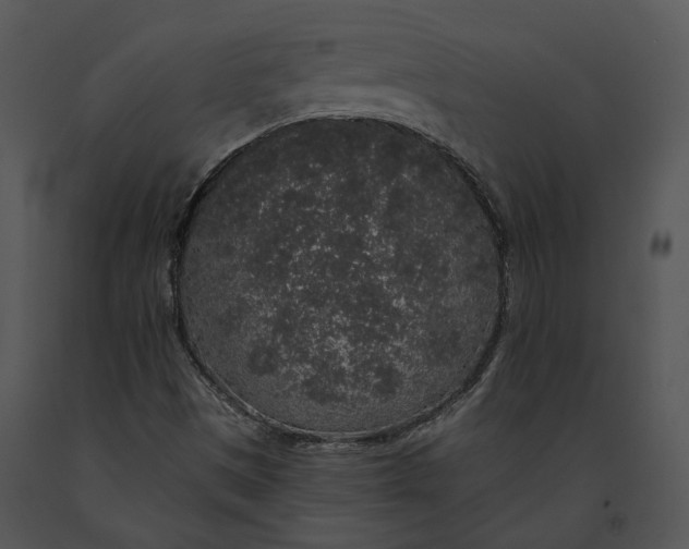 X0000091191497200708301226