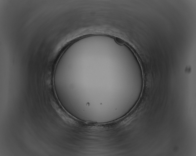 X0000091191499200708301226