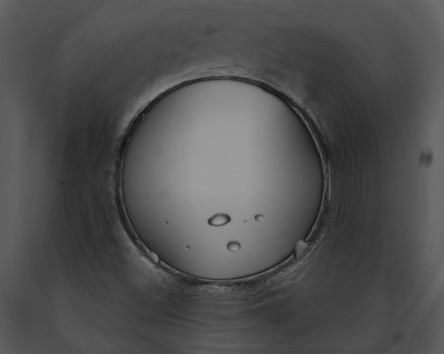 X0000091191500200708301226