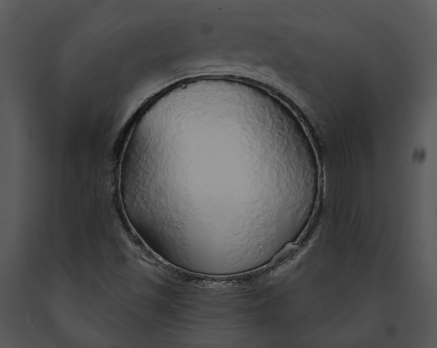 X0000091191501200708301226