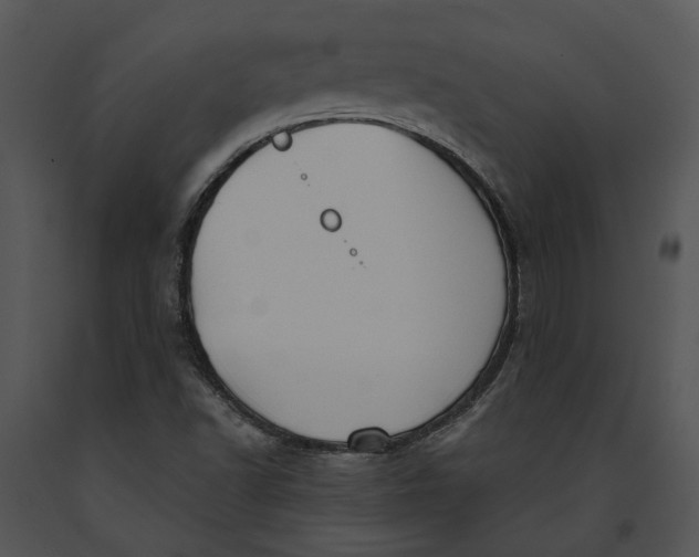 X0000091191502200708301226