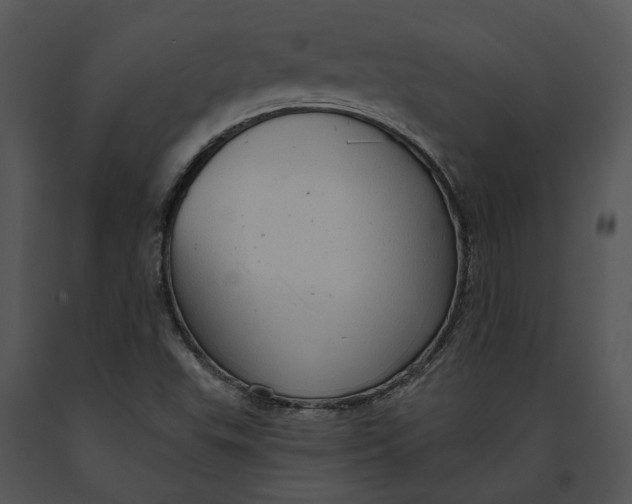 X0000091191503200708301226